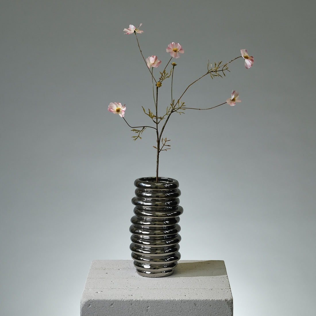 Rosenskära Cremé/Rosa - FLORISSMA