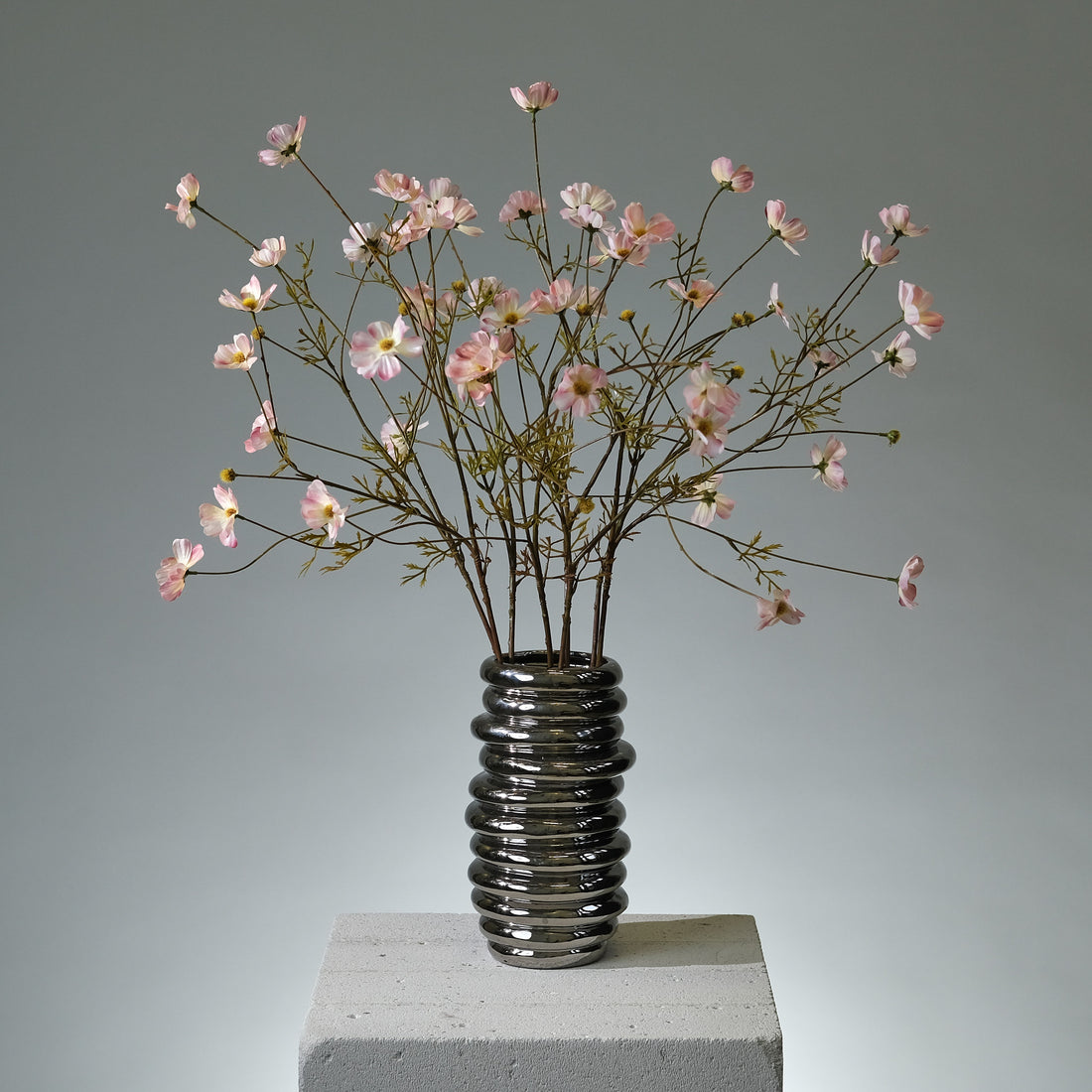 Rosenskära Cremé/Rosa - FLORISSMA