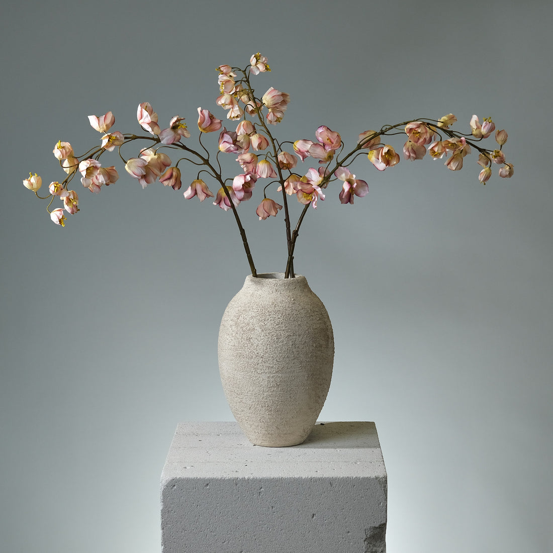 Kungsängslilja Creme/Rosa - FLORISSMA