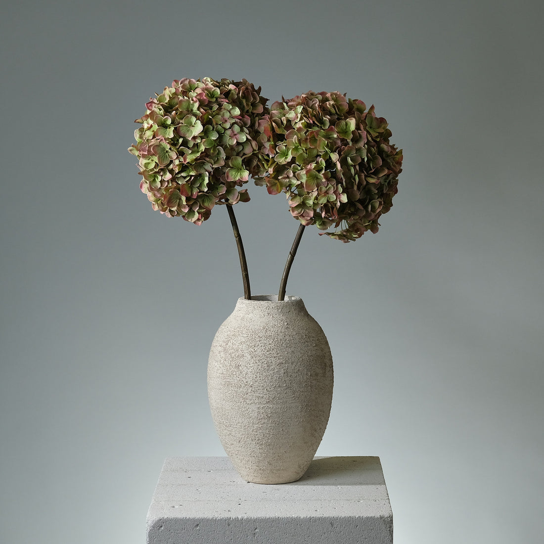 Hortensia Grön/Mauve - FLORISSMA