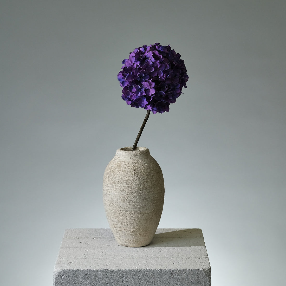 Hortensia Lila - FLORISSMA