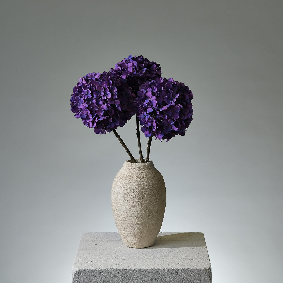 Hortensia Lila - FLORISSMA