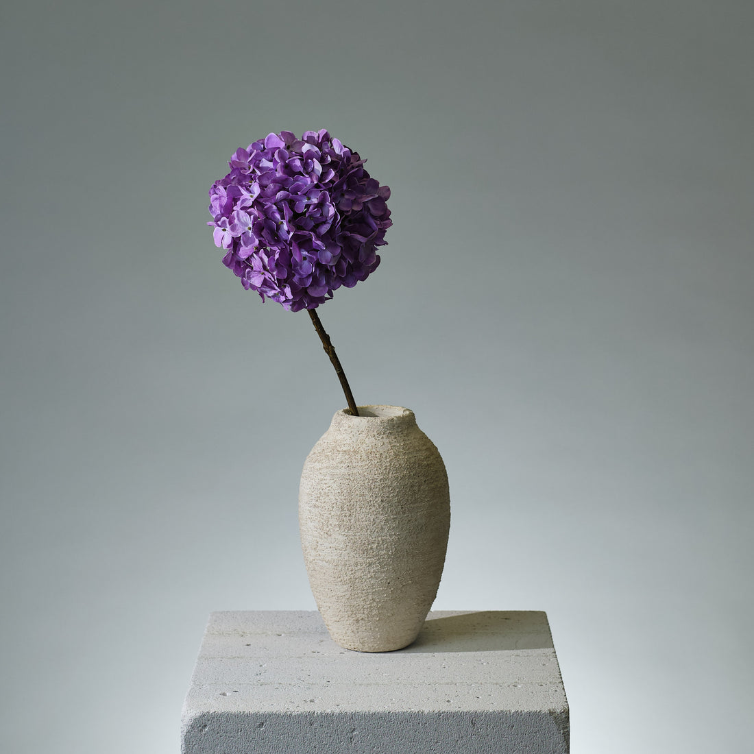 Hortensia Lavendel - FLORISSMA