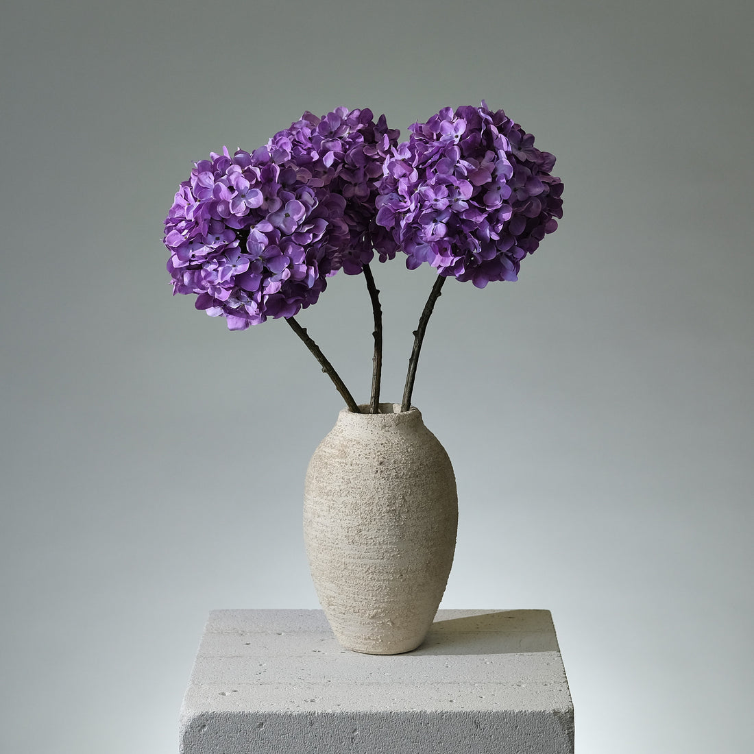 Hortensia Lavendel - FLORISSMA