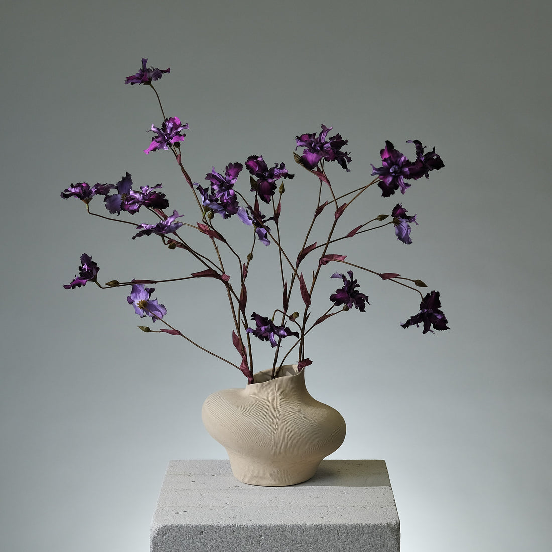 Iris Lavendel - FLORISSMA