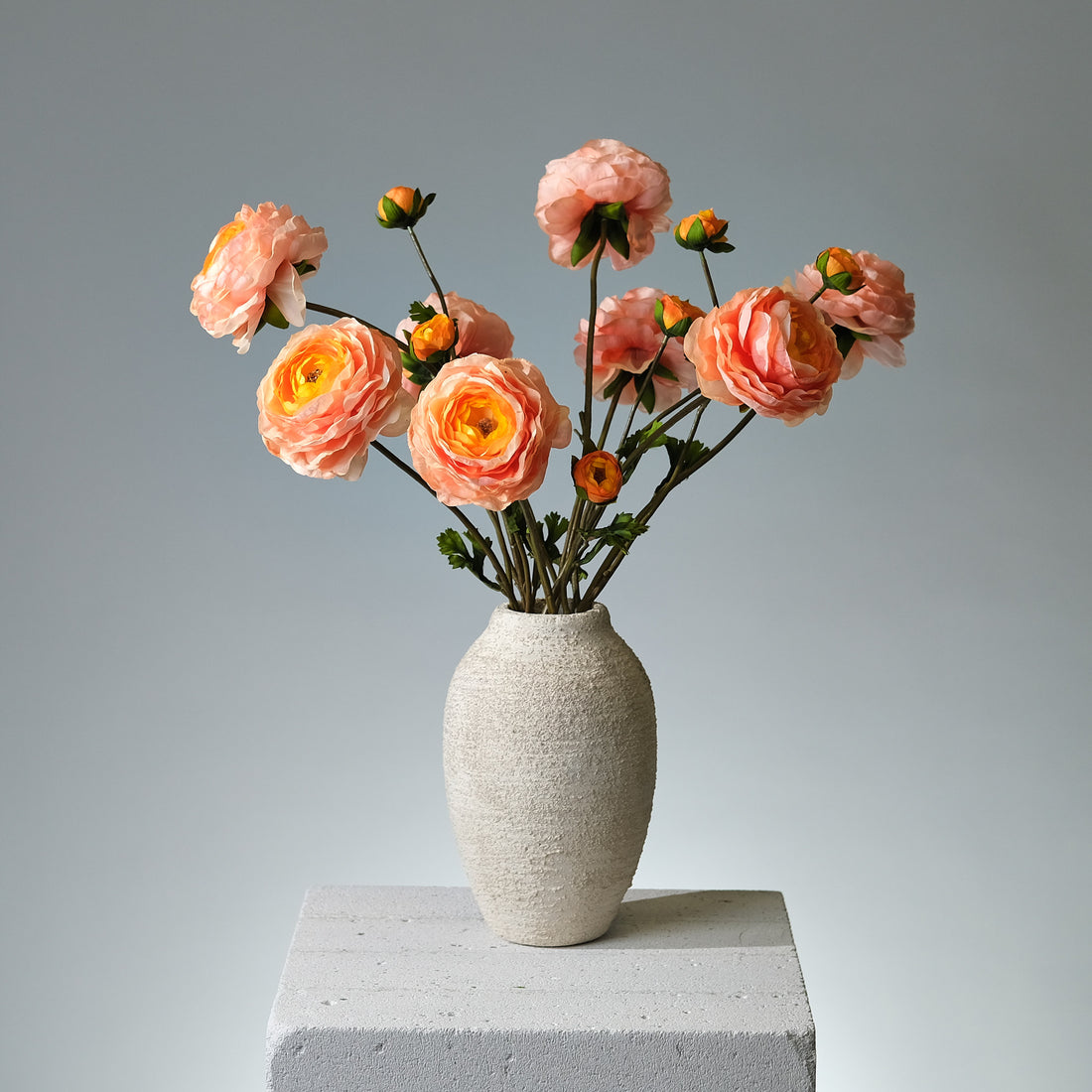 Ranunkel Laxrosa - FLORISSMA