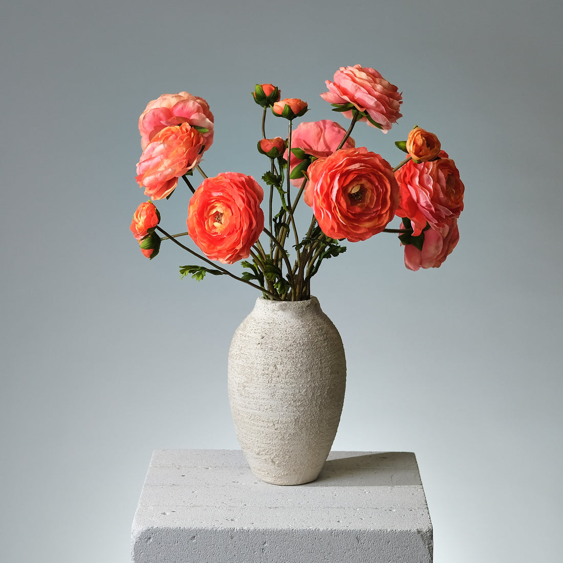 Ranunkel Orange - FLORISSMA