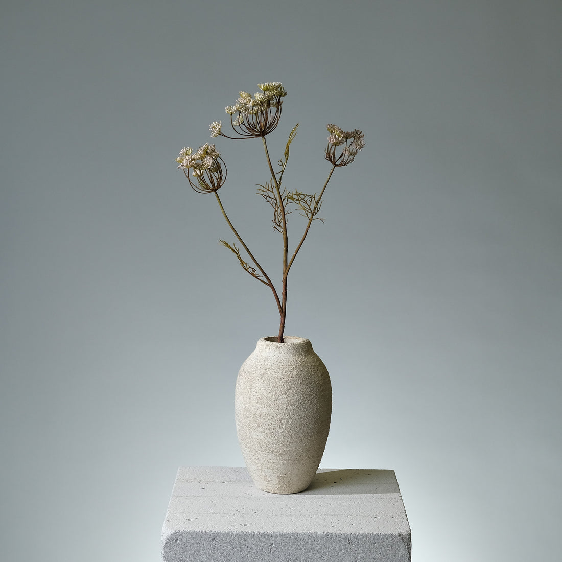 Vildmorot Ljusrosa - FLORISSMA
