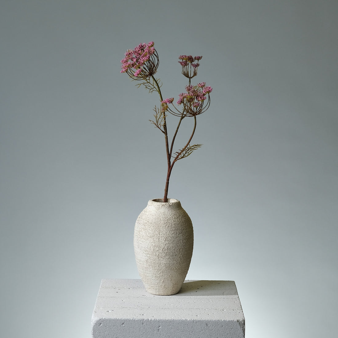 Vildmorot Lavendel - FLORISSMA