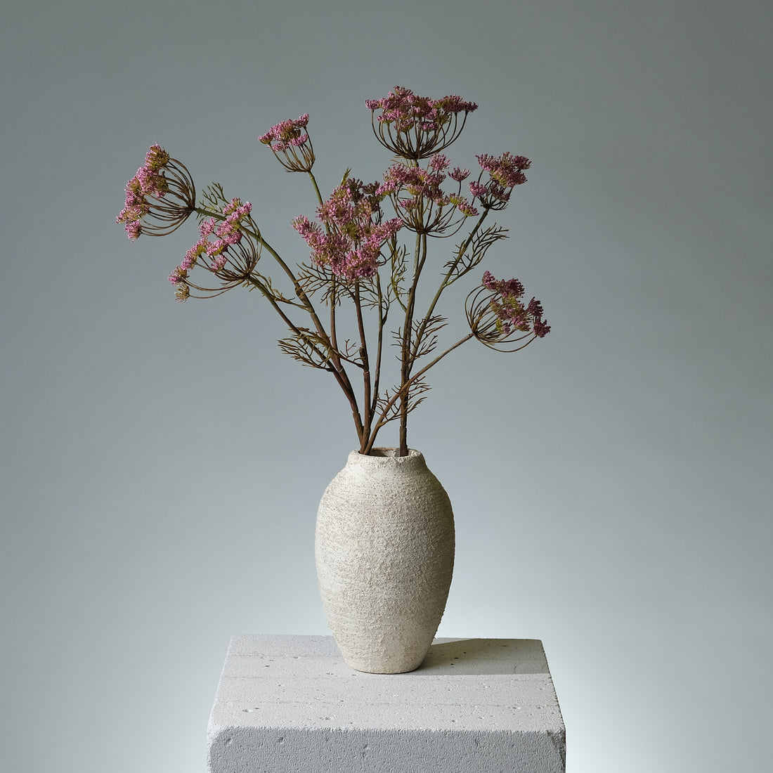 Vildmorot Lavendel - FLORISSMA