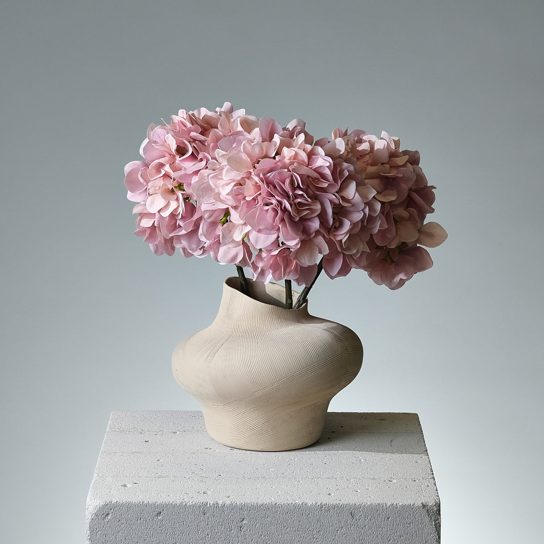 Hortensia Ljusrosa - FLORISSMA