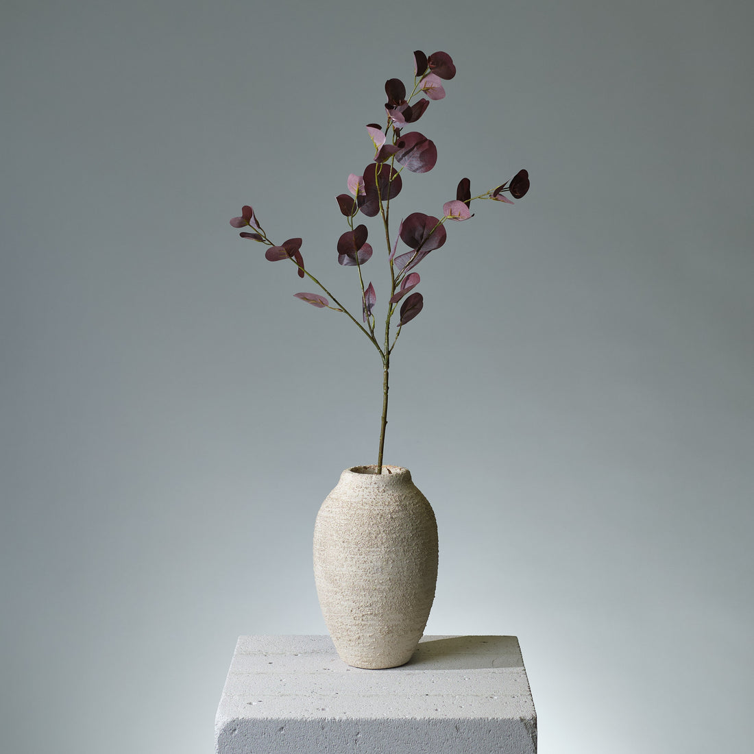 Eukalyptus Bourgogne/Grön - FLORISSMA