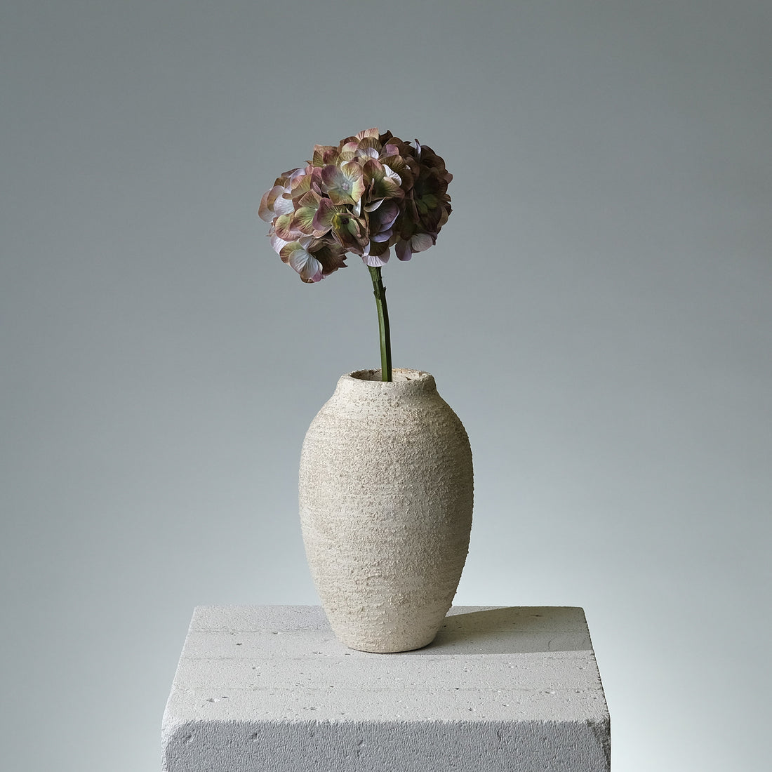 Hortensia Grön - FLORISSMA
