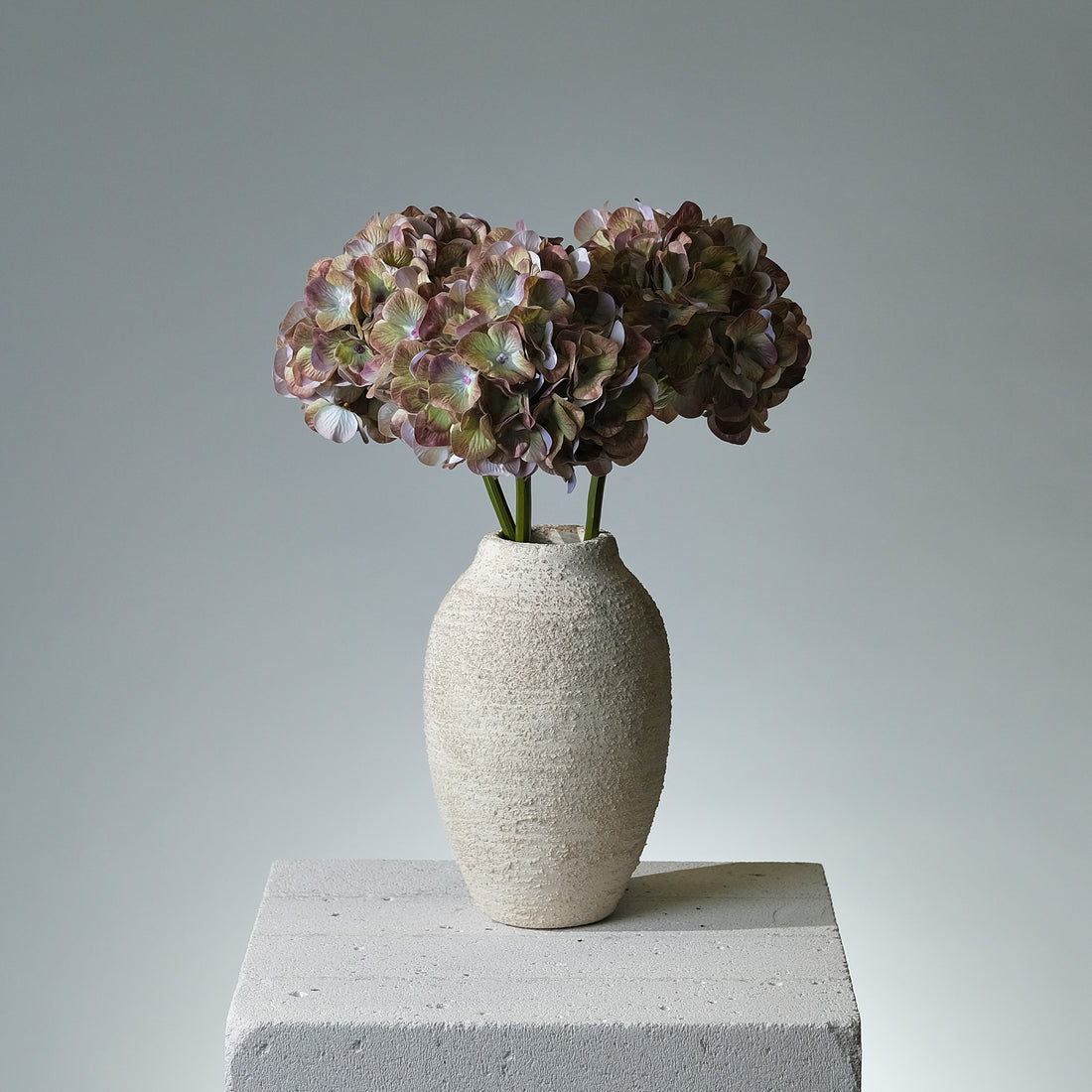 Hortensia Grön - FLORISSMA