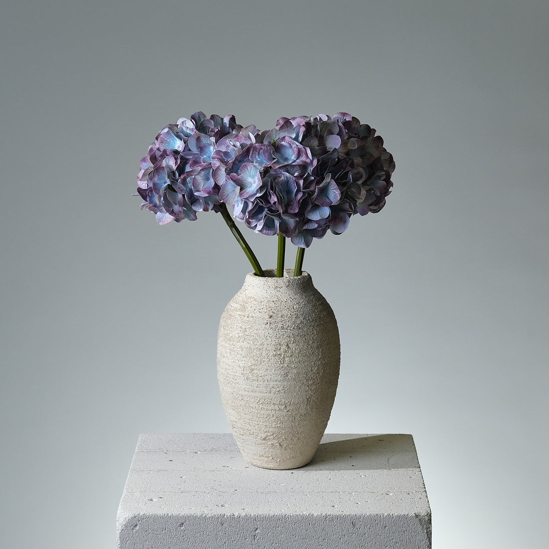 Hortensia Mörkblå - FLORISSMA