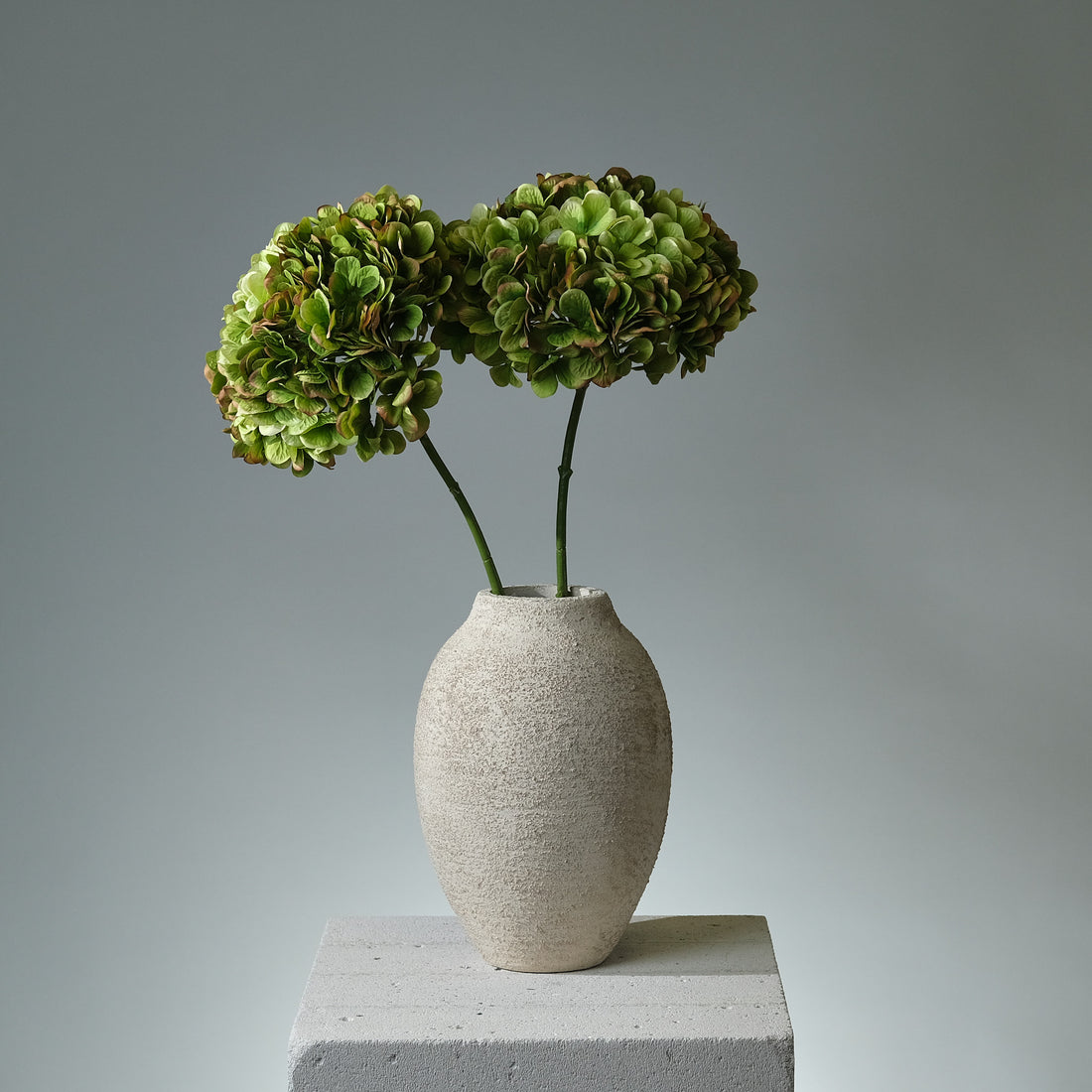 Hortensia Lila/Grön - FLORISSMA