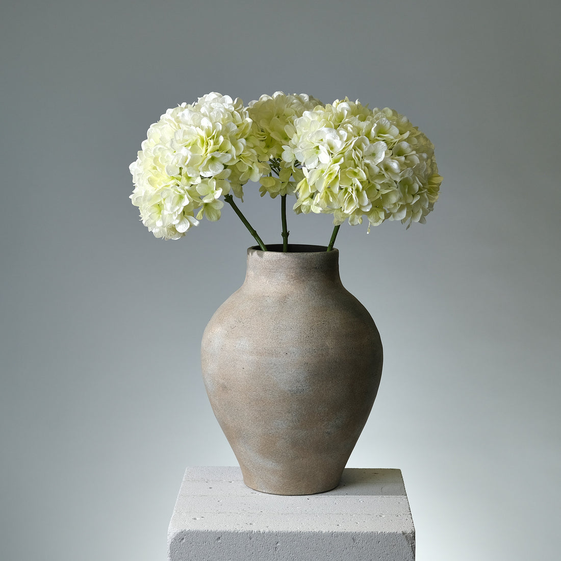 Hortensia Creme Stor - FLORISSMA
