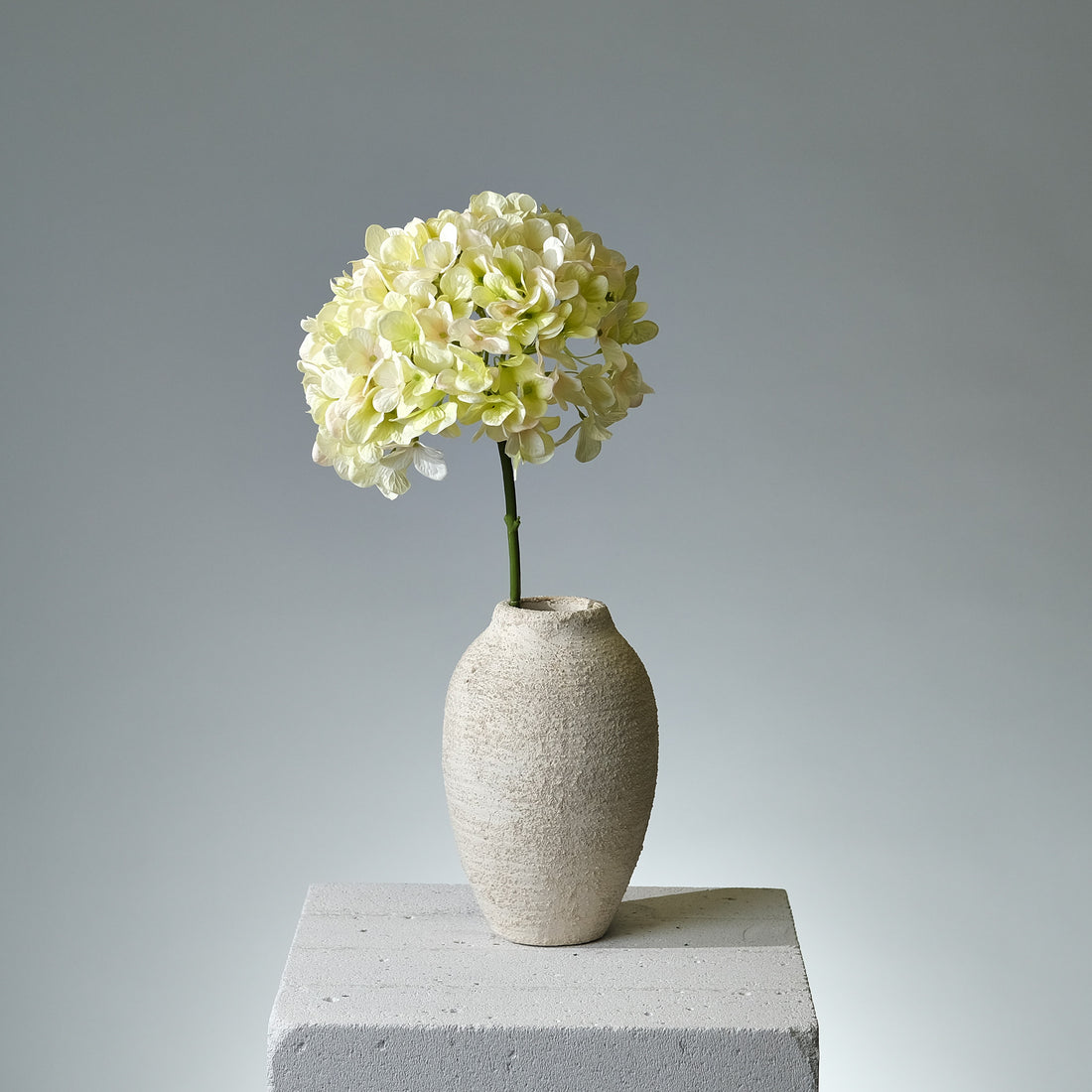 Hortensia Creme/Grön Stor - FLORISSMA