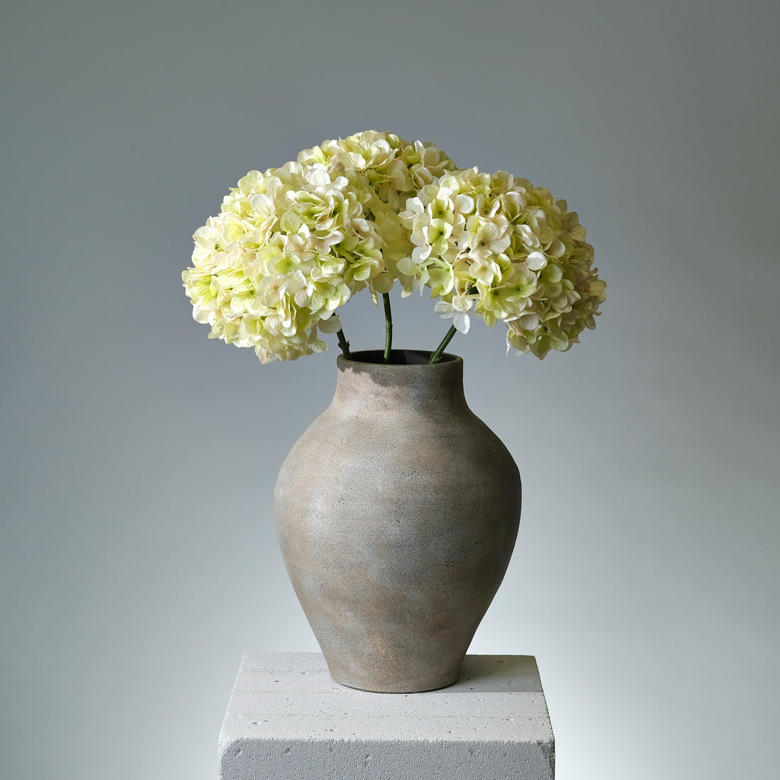 Hortensia Creme/Grön Stor - FLORISSMA