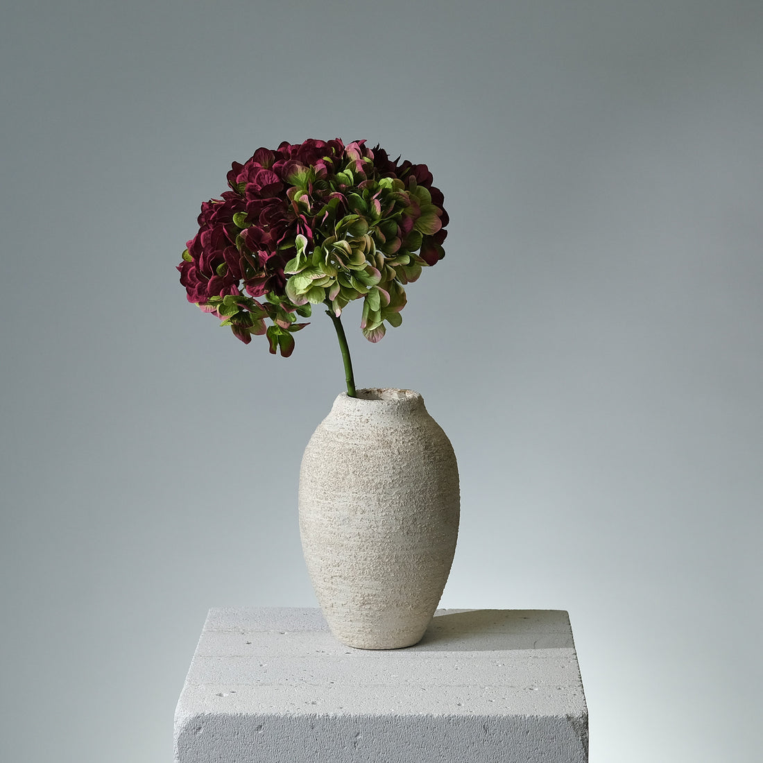 Hortensia Lila/Grön Stor - FLORISSMA