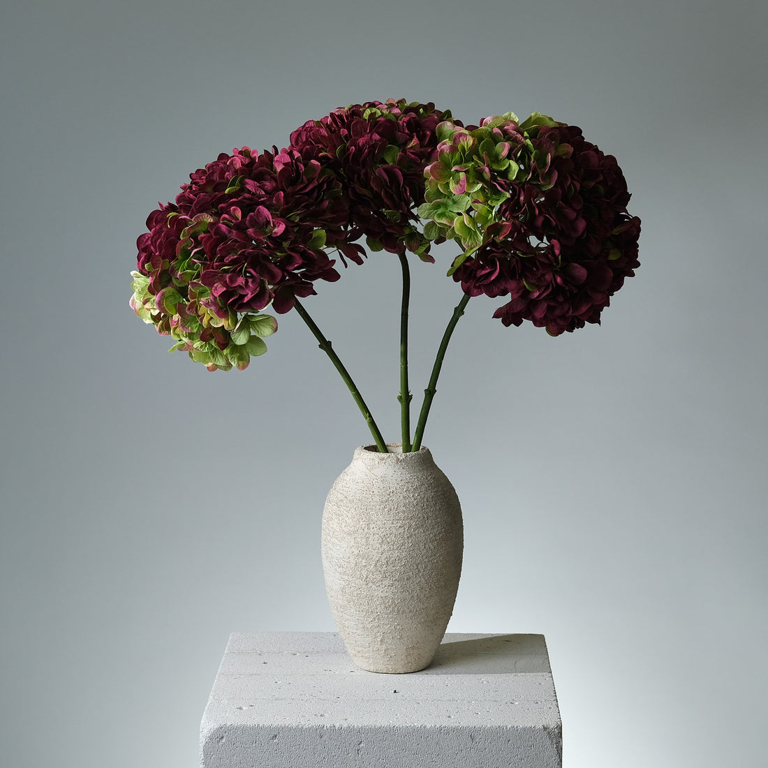 Hortensia Lila/Grön Stor - FLORISSMA