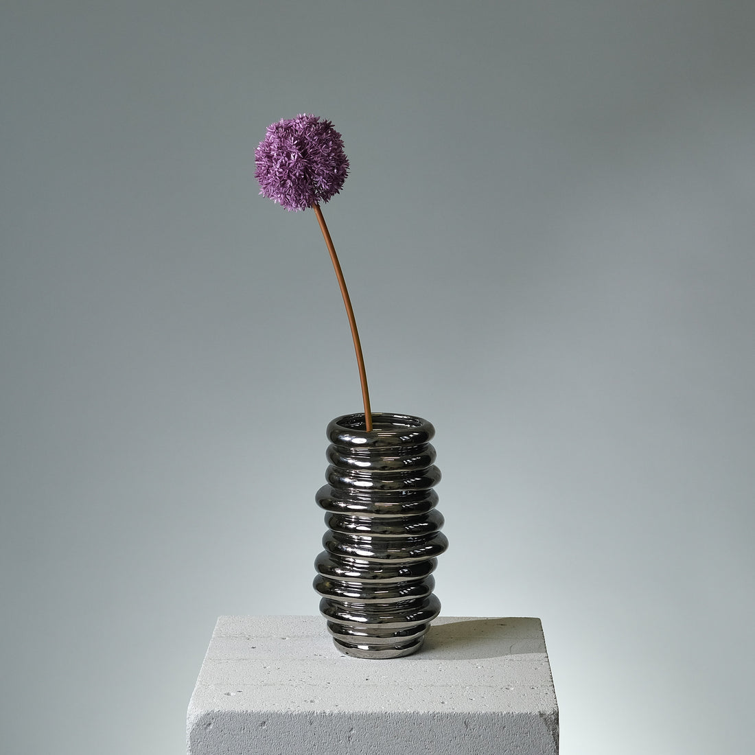 Allium Lila - FLORISSMA