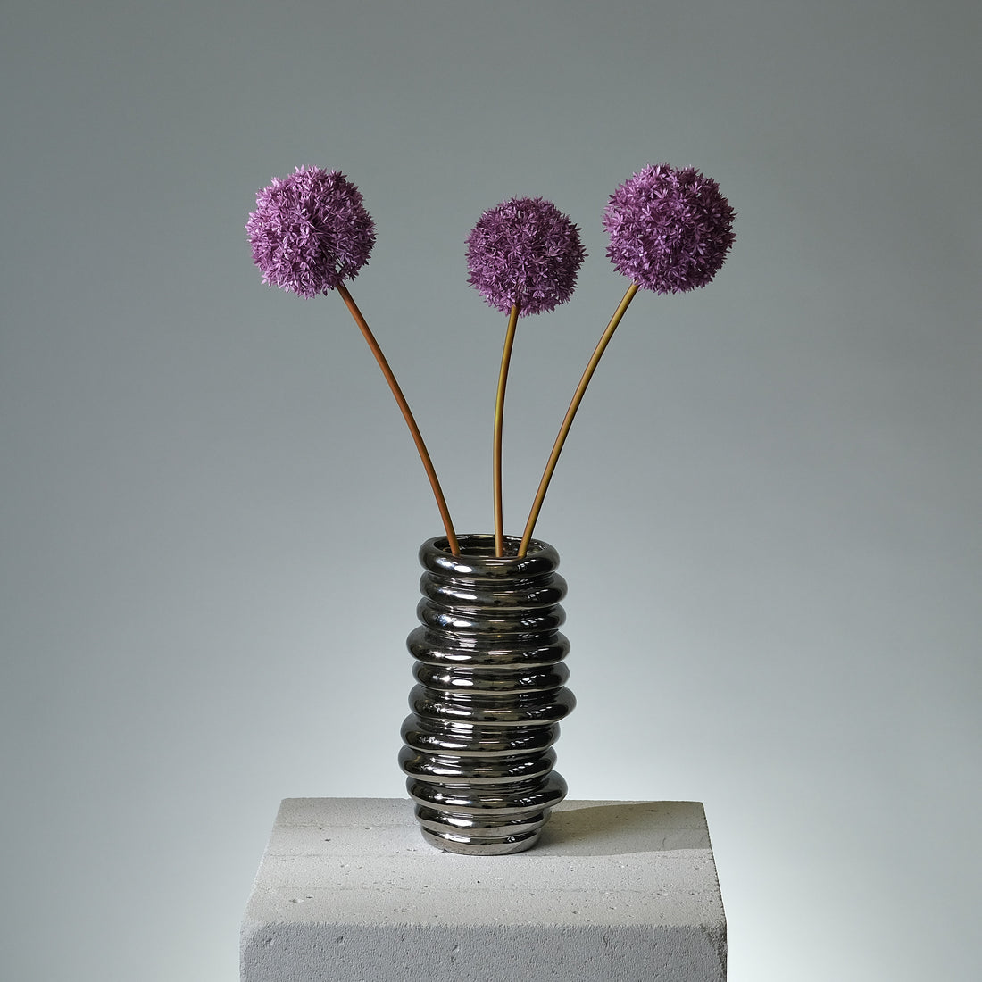 Allium Lila - FLORISSMA