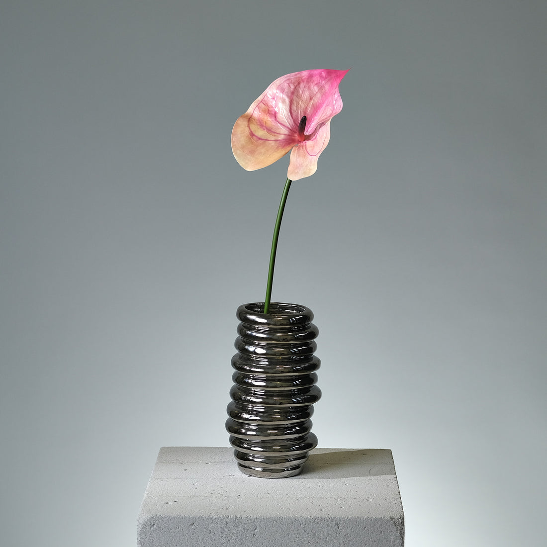 Anthurium Mörkrosa - FLORISSMA