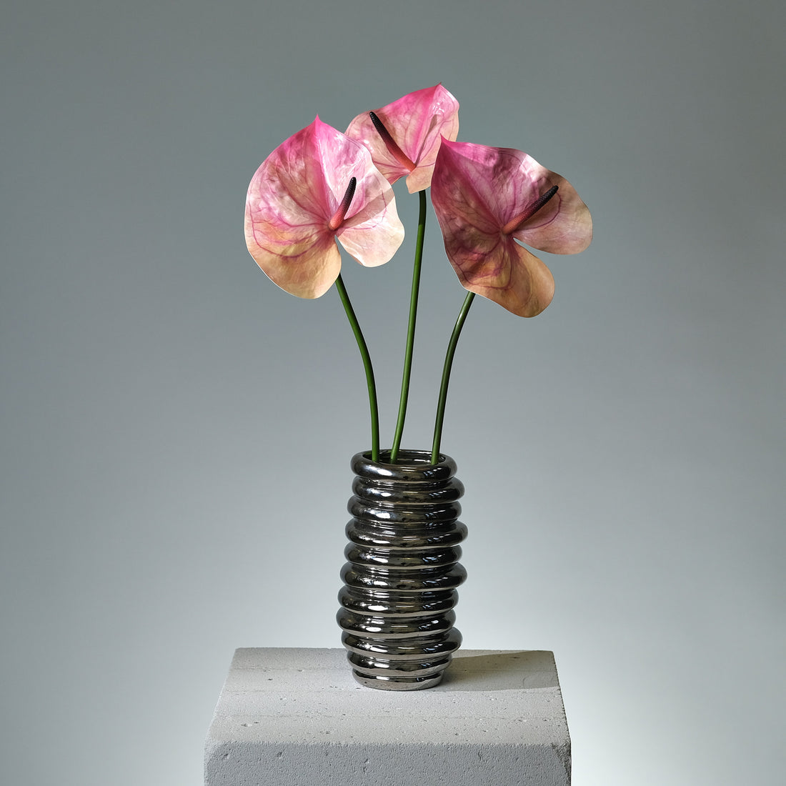 Anthurium Mörkrosa - FLORISSMA