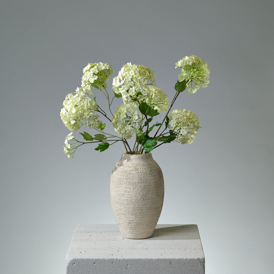 Snöboll "Snowball" Ljusgrön - FLORISSMA
