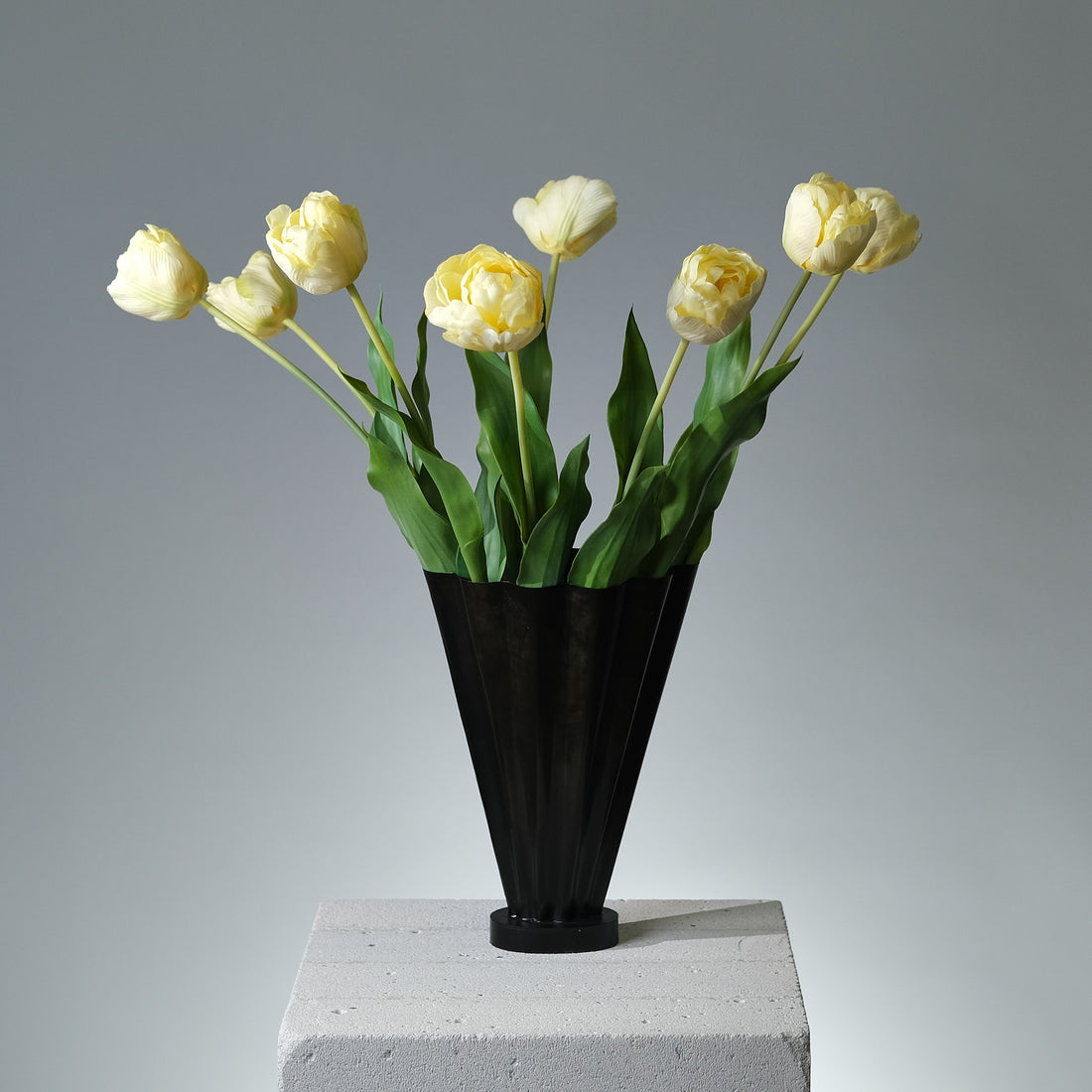 Tulpan Creme/Gul - FLORISSMA