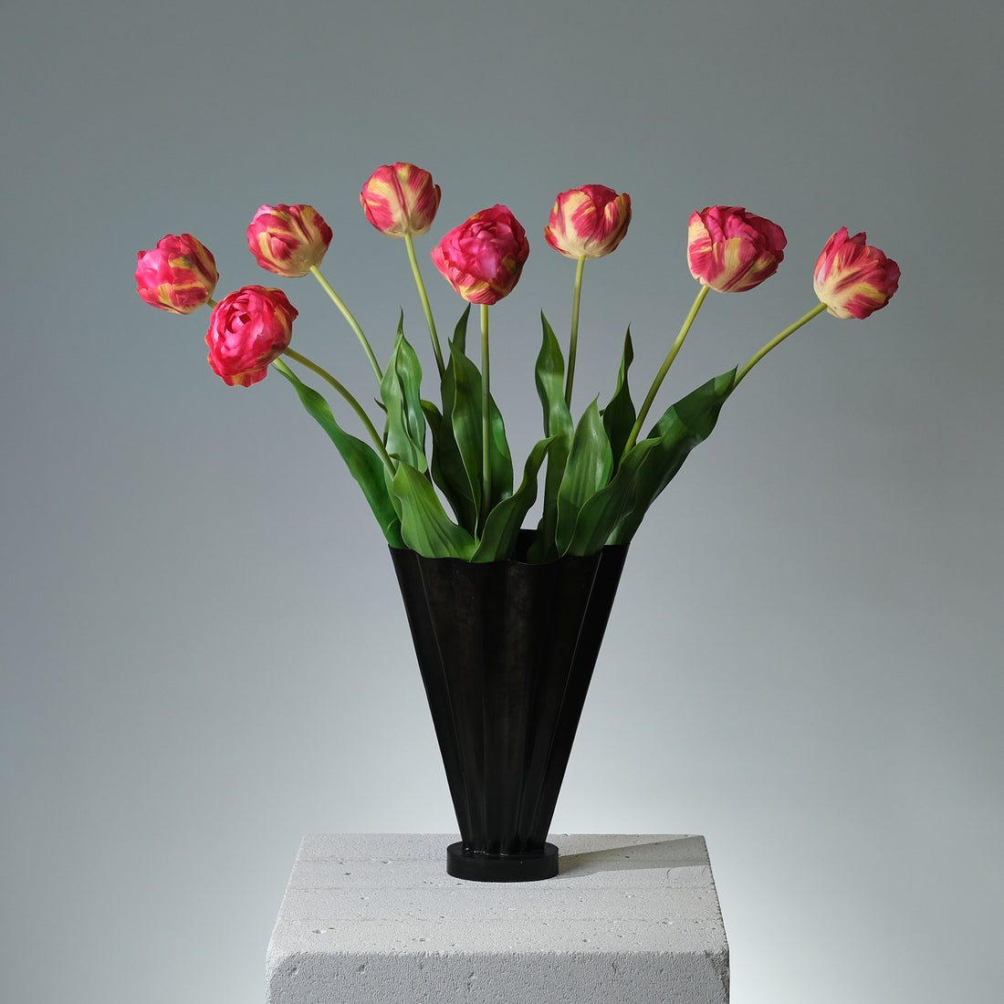 Tulpan Beauty - FLORISSMA