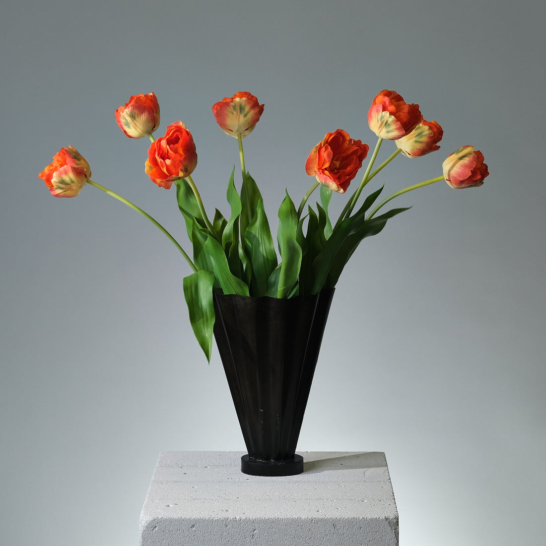 Tulpan Orange - FLORISSMA