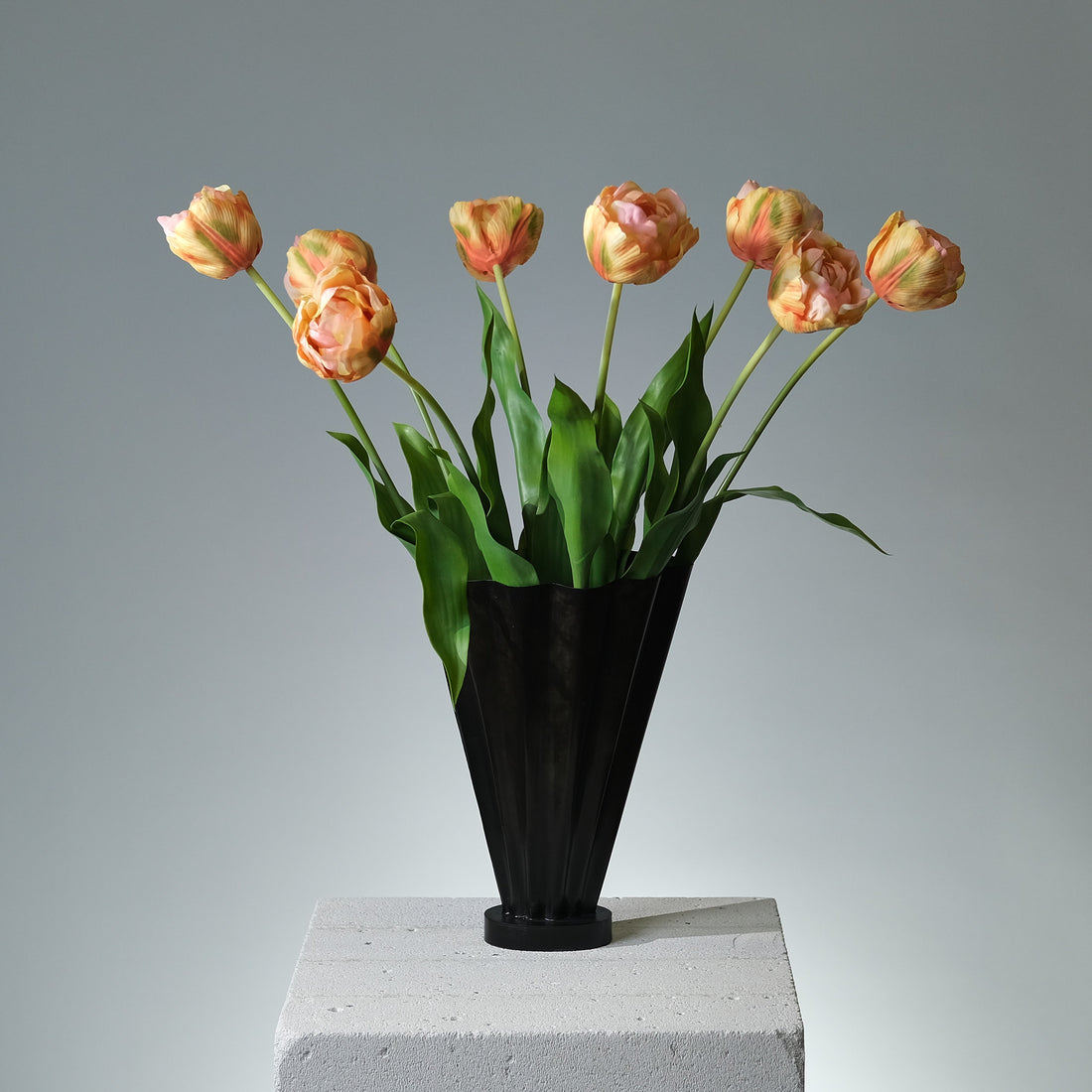 Tulpan Persika/Grön - FLORISSMA