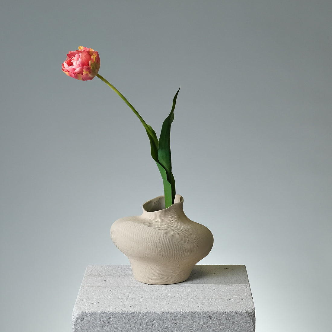 Tulpan Rosa/Gul - FLORISSMA