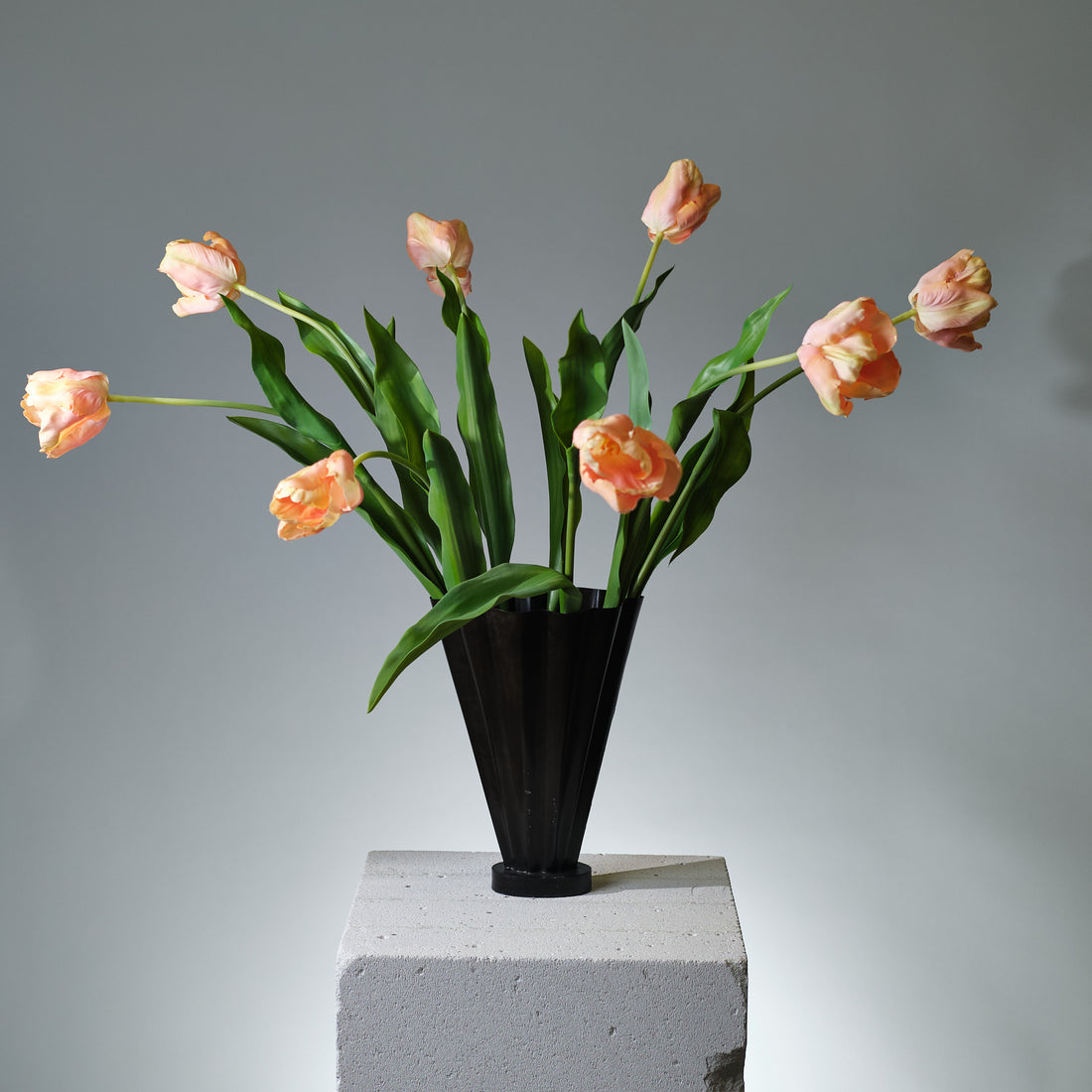 Tulpan Rosa/Creme - FLORISSMA