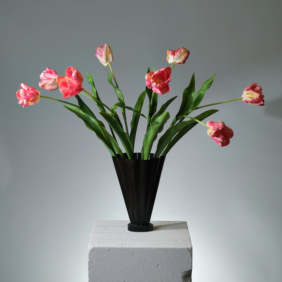 Tulpan Beauty - FLORISSMA