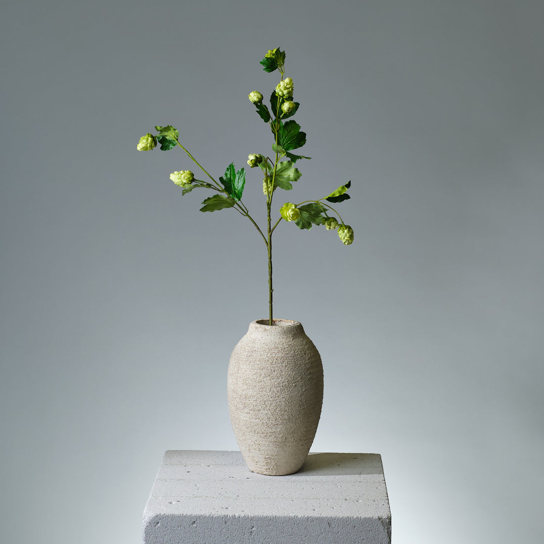 Humle Grön - FLORISSMA