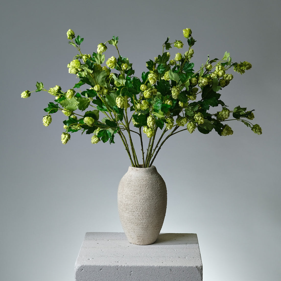 Humle Grön - FLORISSMA