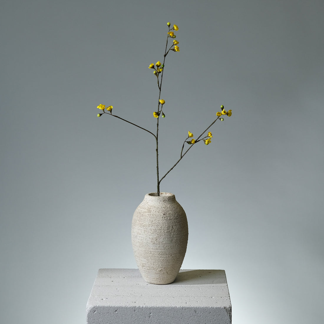 Körsbärsblomma Gul - FLORISSMA