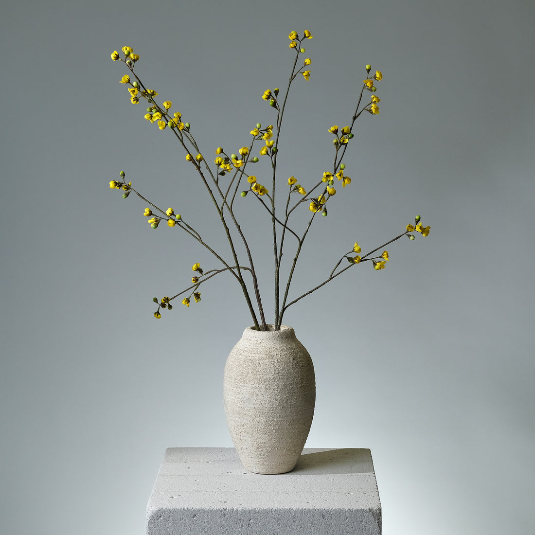 Körsbärsblomma Gul - FLORISSMA
