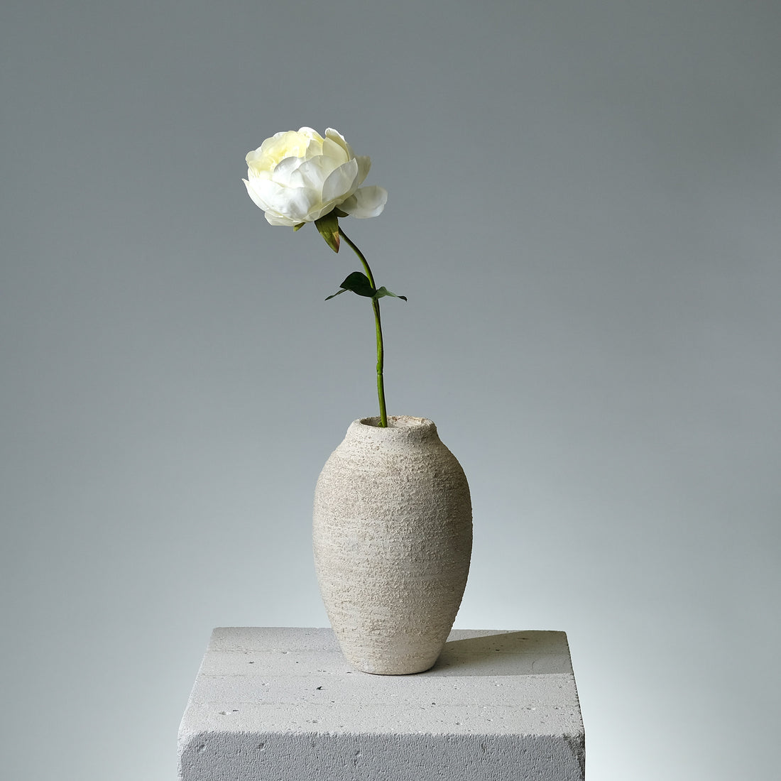 Pion Ljusgul - FLORISSMA