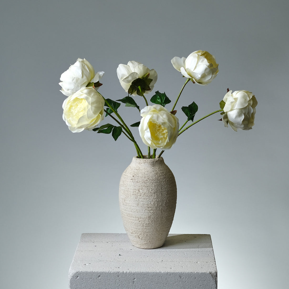 Pion Ljusgul - FLORISSMA