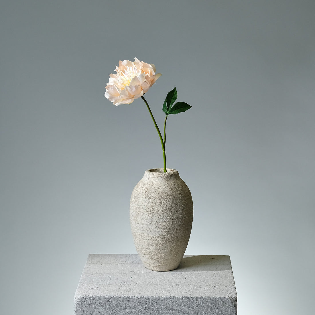 Pion Persika Konstblomma i vas - FLORISSMA