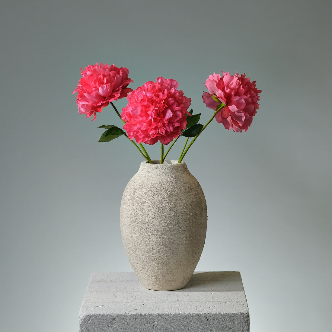 Pion Mörkrosa Utslagen - FLORISSMA