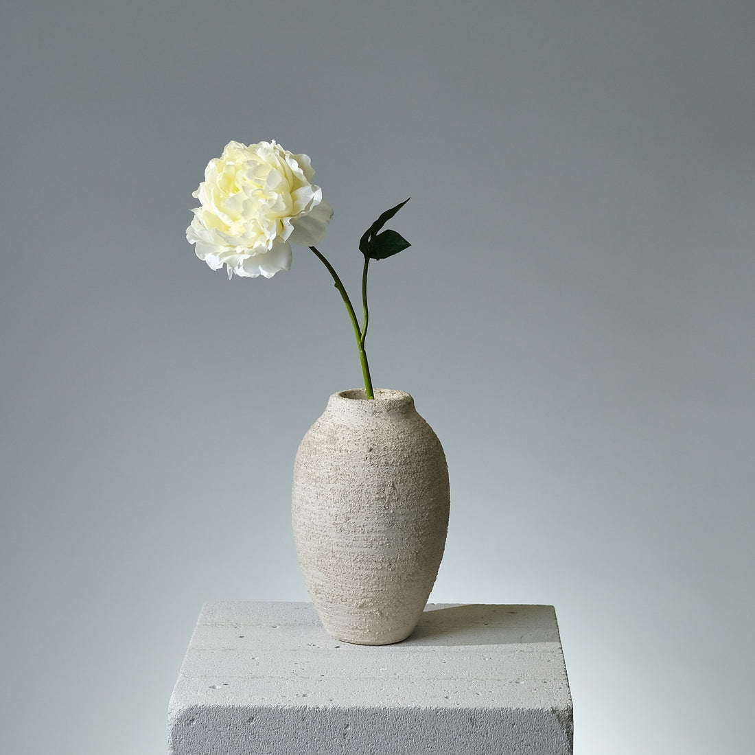 Pion Ljusgul Utslagen - FLORISSMA