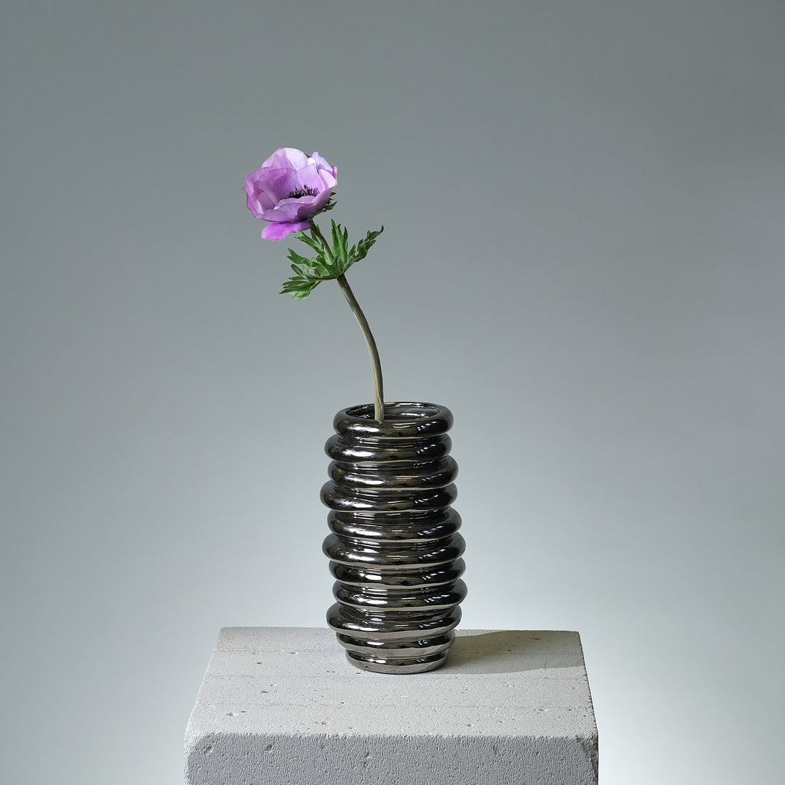 Anemon Lavendel - FLORISSMA