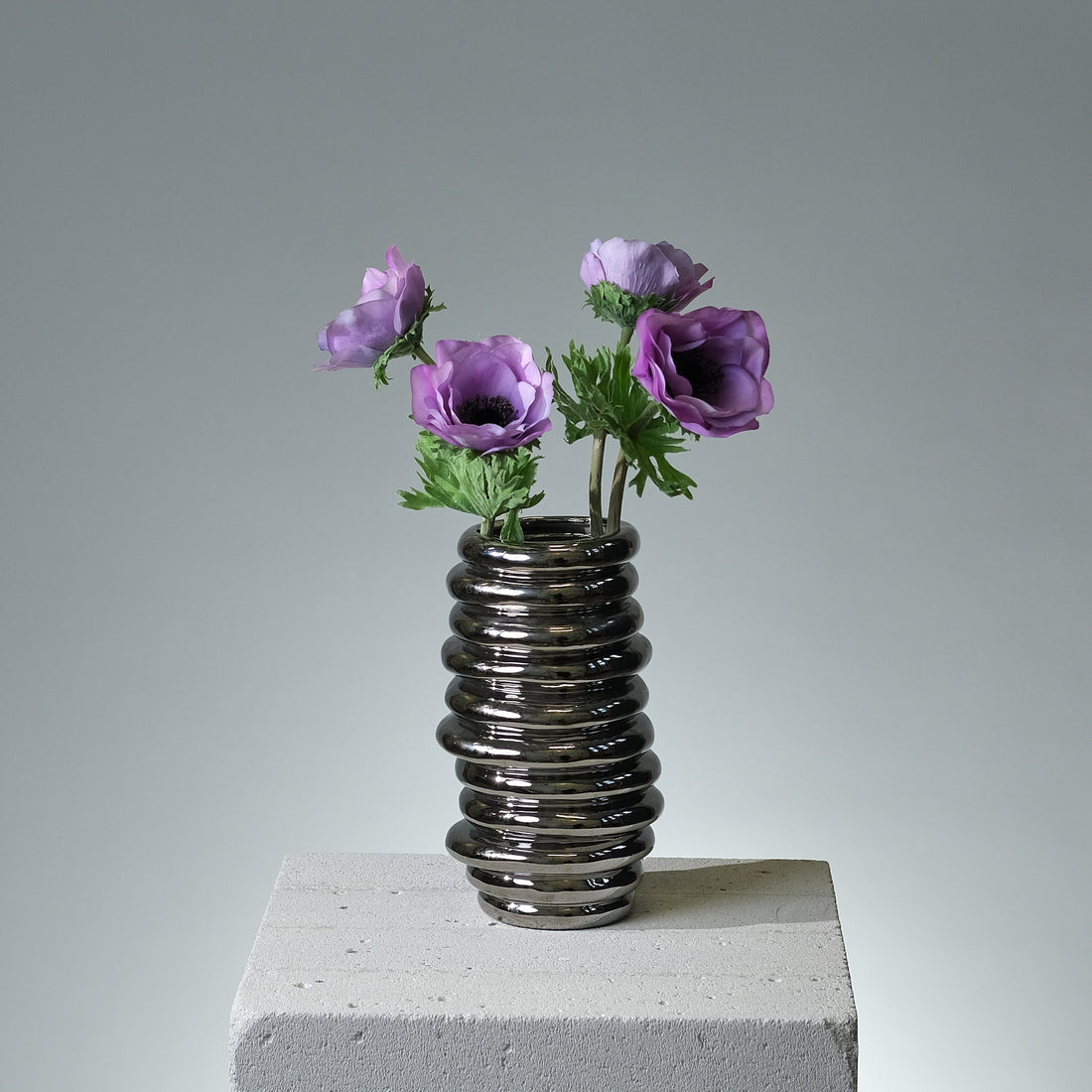 Anemon Lavendel - FLORISSMA