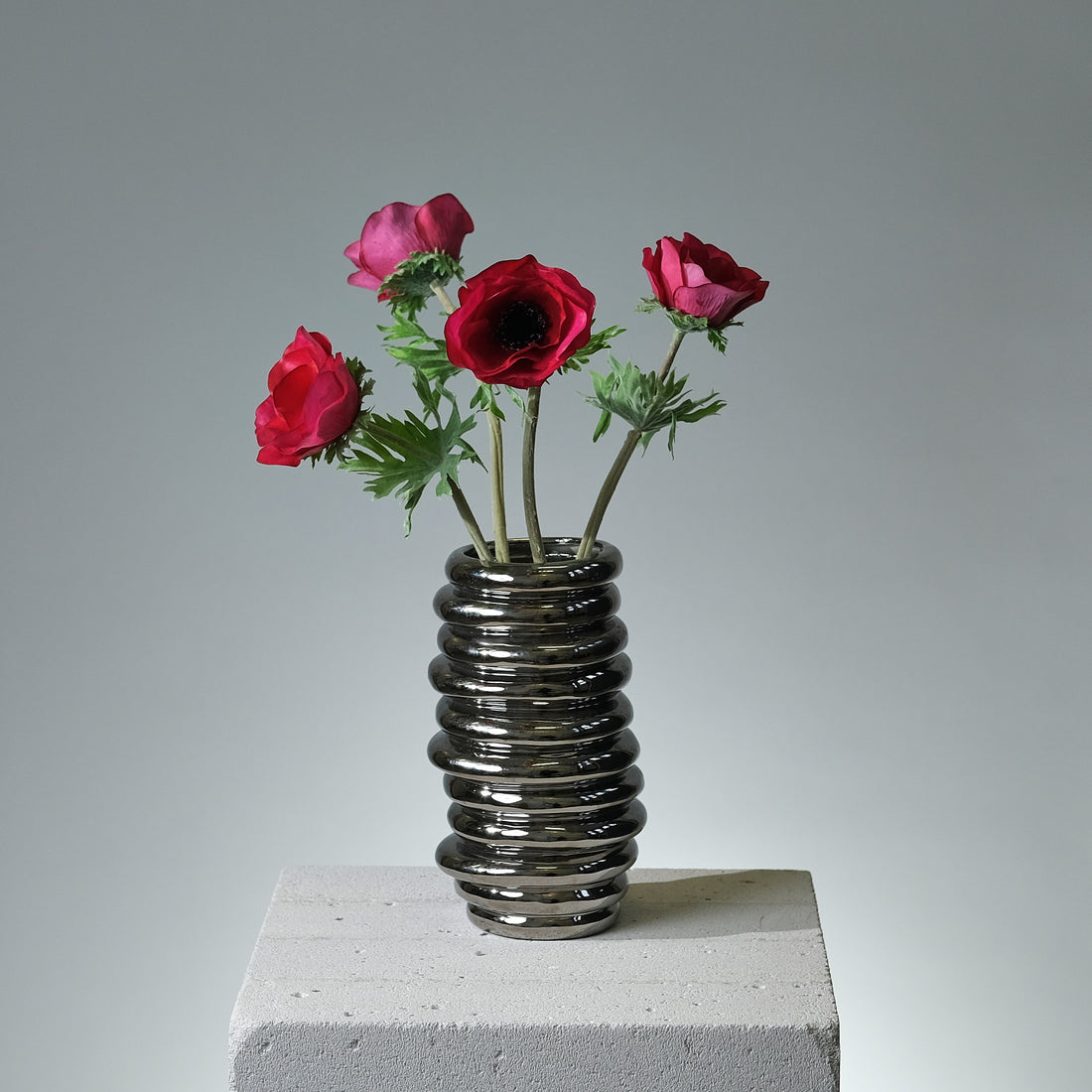 Anemon Beauty - FLORISSMA