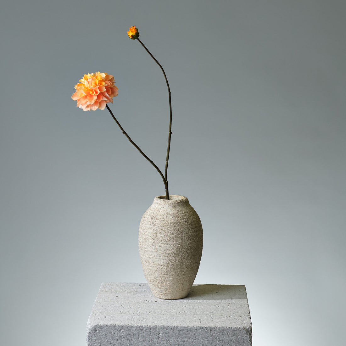 Dahlia Gul/Orange - FLORISSMA